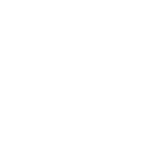 Бранд идентичност - Web Factor